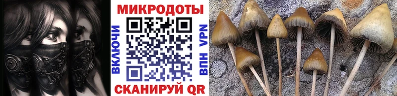 где можно купить   Подольск  Галлюциногенные грибы GOLDEN TEACHER 